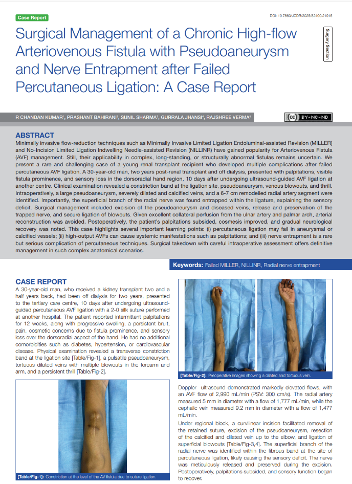 Publication Document 2